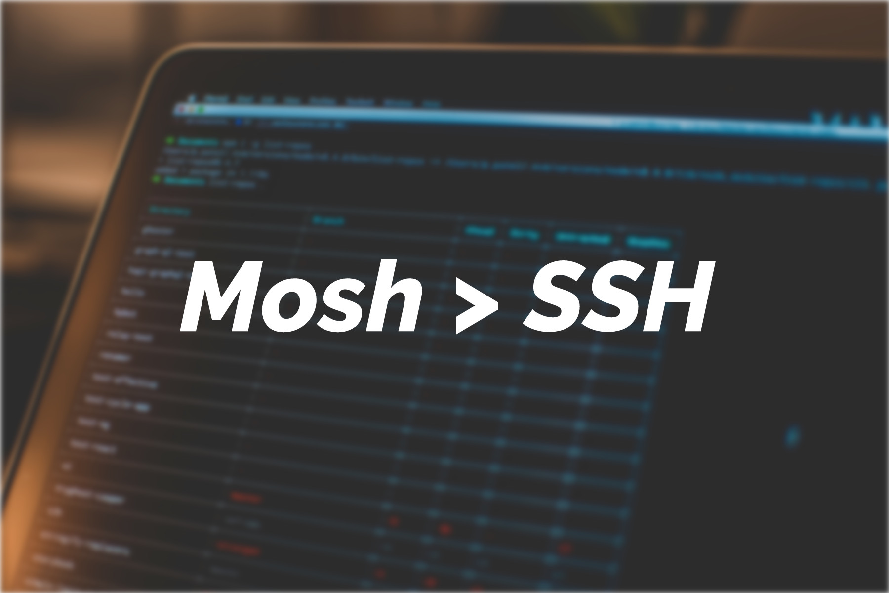 ssd nodes hosting provider