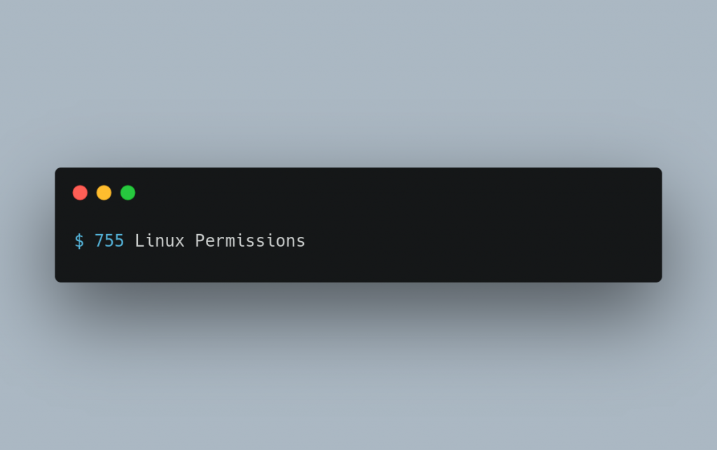 755 permissions