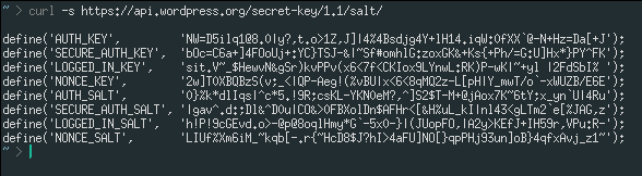 Wordpress Secret Keys
