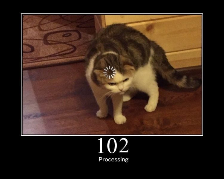 HTTP 102 Response