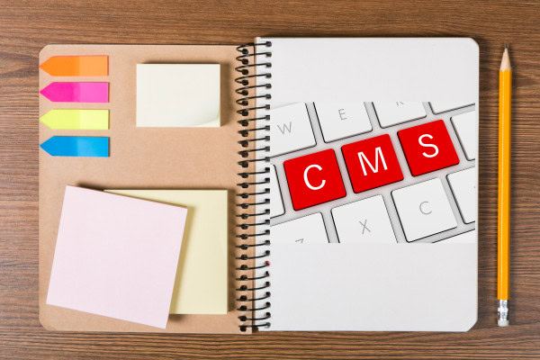 Evaluating Your Organization's CMS Needs to choose right
