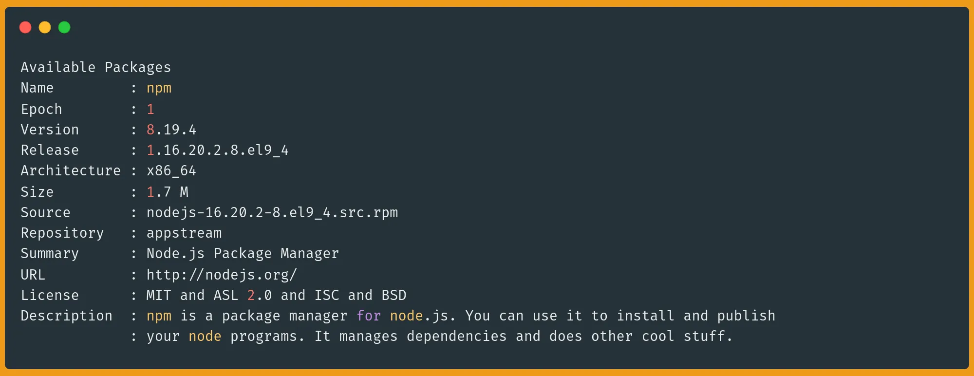 Get information on a package in DNF