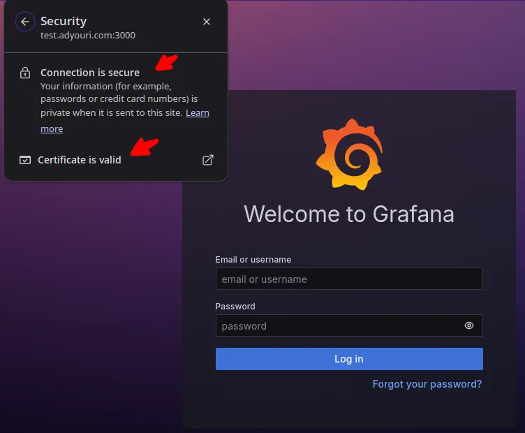 Grafana with Enabled HTTPS using Let's Encrypt