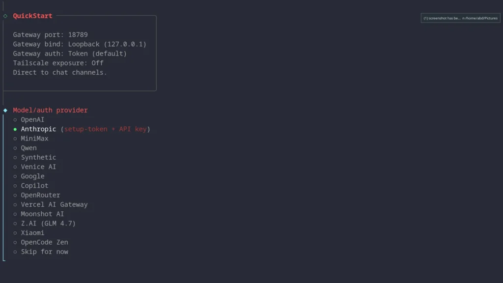 Openclaw model provider