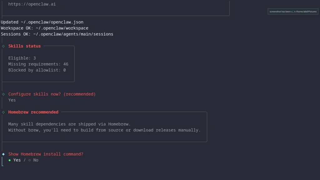 Openclaw skills config