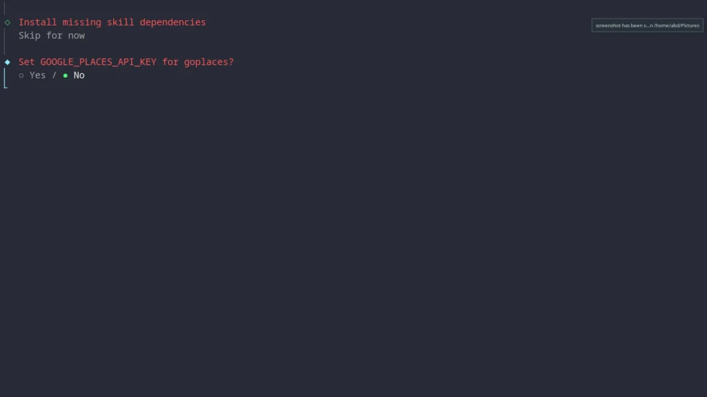 Openclaw Skip API keys