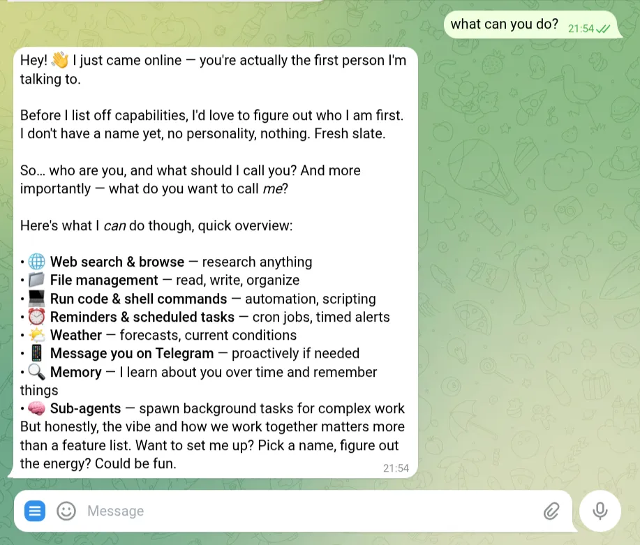 openclaw installed on a VPS